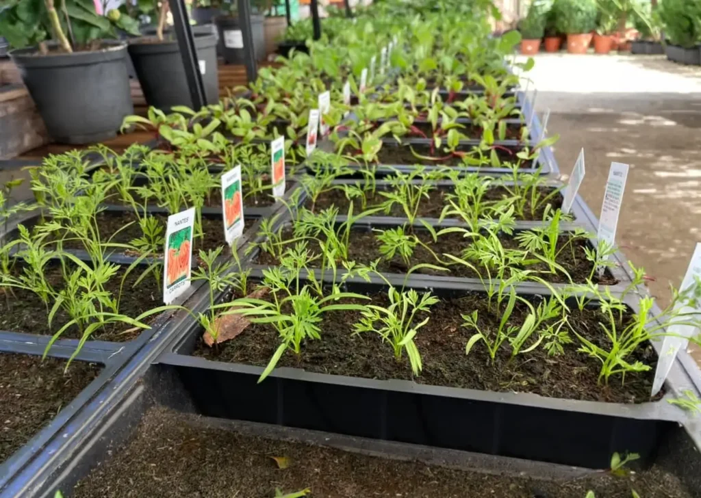 Vacancies & Local Suppliers at The Pound Farm Shop & Plant Centre Gloucester - Hero