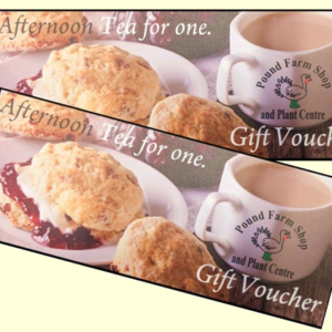 Afternoon Tea for 2 Gift Voucher