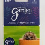 gift card hedgehog