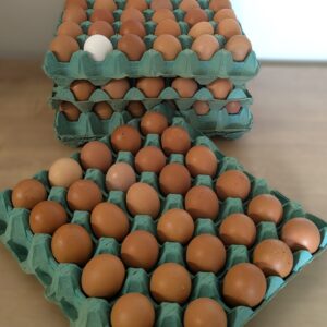 Tray of Small Eggs