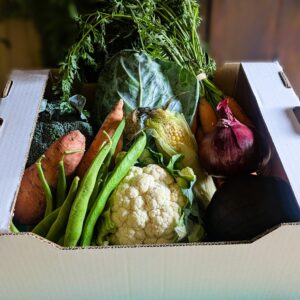 Vegetable Box - Medium