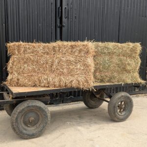 trolley hay and straw scaled | Pound Farm Shop and Plant Centre | The Best Farm Shop in Gloucester